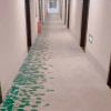Отель GreenTree Inn Anqing Huaining County Wanhe Road Express Hotel, фото 21