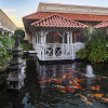 Отель Hyatt Regency Grand Reserve Puerto Rico, фото 31
