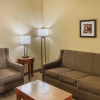 Отель Comfort Inn Midland South I-20, фото 13