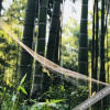 Отель Yingwuxin Boutique Hostel Mount Mogan, фото 19