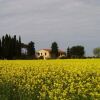 Отель Il Bosco Agriturismo, фото 26