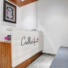 Отель Collection O Hotel Kelvi, фото 2