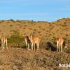 Отель Rustico Cerro Del Valle, фото 23