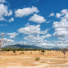 Отель Nje Bush Camp, фото 12