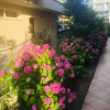 Отель Elmaz, фото 19