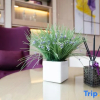Отель Lavande Hotel Zigong Tanmulin Lantern Park, фото 19