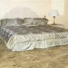 Отель Nevada Club Inn, фото 14