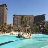 Отель Mangrove Tree Resort Word - Queen Palm Tower, фото 19