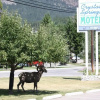 Отель Crystal Springs Lodge, фото 25