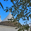 Отель i trulli di Caterina - trullo indipendente, фото 20