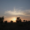 Отель Kaner Retreat - India's First Desert Botanical Resort, фото 10