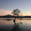 Отель Tempest On Wanaka, фото 10