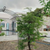 Отель Tây Homestay 968, фото 15