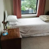 Отель Rustic Country Hotel, фото 3