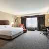 Отель Hilton Garden Inn Atlanta Downtown, фото 42