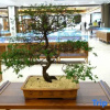 Отель Putuo Hotel · Bore Jingshe, фото 4