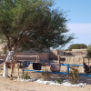 Отель Ranch de Sidi kaouki, фото 6