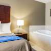 Отель Comfort Inn Atlanta Downtown South, фото 20