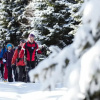 Отель Jägerhof Geniesser & Wanderhotel, фото 23