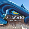 Отель Staybridge Suites San Antonio Sea World, an IHG Hotel, фото 37