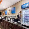 Отель Comfort Inn & Suites Bryant - Benton, фото 27