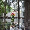 Отель Casa Tepoztlán, фото 19