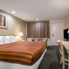 Отель Rodeway Inn Santee San Diego East, фото 6