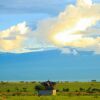 Отель Amanya Zebra 1-bed Wigwam in Amboseli, фото 18