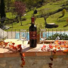 Отель Casa Acacia 3br,2ba House in Castellina in Chianti, фото 15