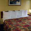 Отель Rodeway Inn, фото 5