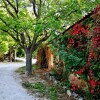 Отель Casas Rurales Los Enebros, фото 16