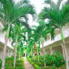 Отель Coral Seas Beach Resort, фото 9