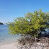 Отель Hoandedhoo Inn, фото 3