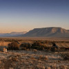 Отель Samara Karoo Reserve, фото 30