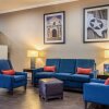 Отель Comfort Suites Near Texas State University, фото 21