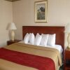 Отель Mississauga Inn & Suites в Миссиссауге