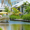 Отель Mahogany Bay Resort & Beach Club, Curio Collection by Hilton, фото 14