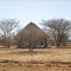 Отель Whistling Thorn Tented Camp в Аруше