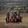 Отель Elewana Loisaba Tented Camp, фото 9