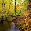 Отель Hof van Benten, фото 8
