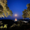 Отель Borgo degli Ulivi, фото 14