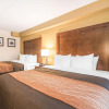 Отель Comfort Inn & Suites Brattleboro I-91, фото 3