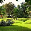 Отель Buena Onda Jungle Lodge, фото 17