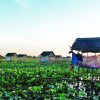 Отель Hai Lua Homestay (Lotus Lake Homestay), фото 17