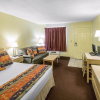 Отель Econo Lodge Inn & Suites Maingate Central, фото 21