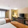 Отель Comfort Inn & Suites, фото 3