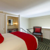 Отель Bourbon Orleans Hotel, фото 5