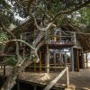 Отель Thonga Beach Lodge, фото 50