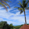 Отель Pousada Jardim das Bromelias, фото 19