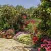 Отель Villa Kalithea, фото 6